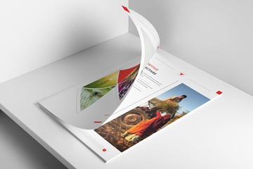  Professionally Designed Printed Brochures