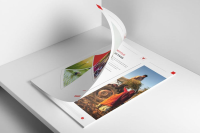 Custom Brochure Design Services London