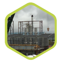 Evaporating Plants With Vacuum Cookers