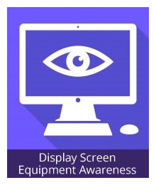 Display Screen Equipment Awareness