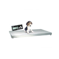 Suppliers Of Veterinary Scales For Vets In Nottinghamshire