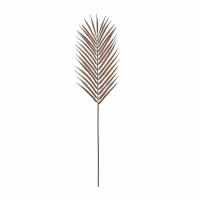 Stem (6pk) Brown