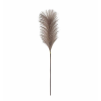 Soft Feather Stem Dark Blush (5pk)