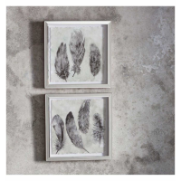 Plumes Framed Art Set of 2