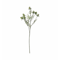 Spray Dusky Green (3pk)