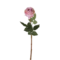 Lilac Rose Stem Lilac 6pk Large