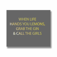 When Life Hands You Lemons Grab The Gin and Call the Girls Silver Foil Wall Plaque