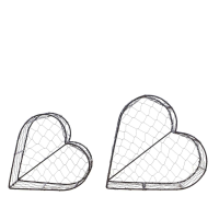 Baskets Wire Set of 2