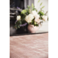 Rug Guru Karma Nude 160x230