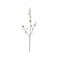 Blossom Stem White (3pk)