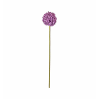 Stem Purple (3pk)