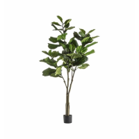 Tree With 39 Leaves