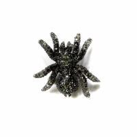 Spider Brooch Black