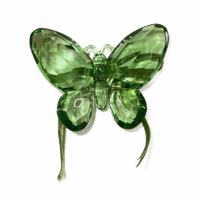Green Butterfly With Ribbon