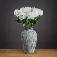 Single White Hydrangea