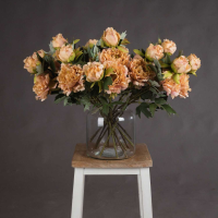 Yellow Fashion Peony