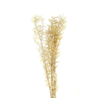 Bouquet Of Dried Avena