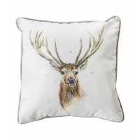 Watercolour Cushion