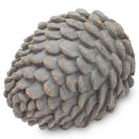 Decorative Grey Pinecone