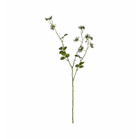 Rose Spray White