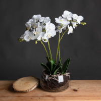 Plastic White Orchid In Transparent Glass Pot
