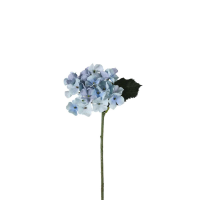 Blue Hydrangea Stem Blue 12pk Small