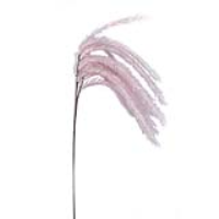 Pink Foam Fish Tail Fern