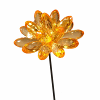 Orange Flower With Spike