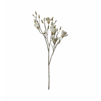 Spray With 11 Blooms White