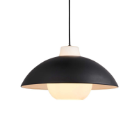 Hoyer Pendant Light Curved