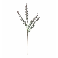 Spray (6pk) Dusky Damson