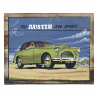 Hand Painted Wall Plaque