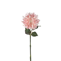 Dahlia Stem Light 6pk