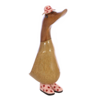 Small Gardener Duck
