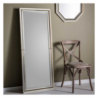 Modern Rectangular Golden Frame Bedroom Leaner Floor Mirror 151.5 x 62.5cm