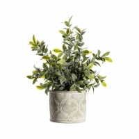 Dusky Green With Patterned Pot