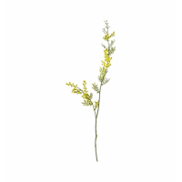Spray Yellow (3pk)