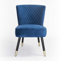 Velvet Occasional Chair with Wenge and Brass Plated Legs