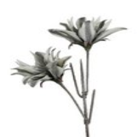 Grey Foam Double Grey Stem Stripy Flower