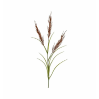 Spray Russet Green
