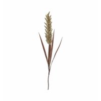 Spray Wheat Russet