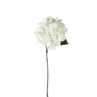 White Hydrangea Stem White 6pk Large