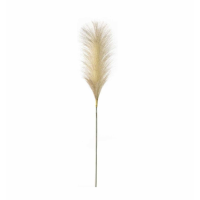 Soft Feather Stem Blush (5pk)