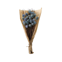 Blue Dried Thistle Bundle in Paper Wrap Blue Large