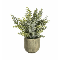 Eucalyptus With Rustic Pot Large