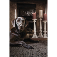 Rug Guru Union Fossil 80x150