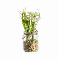 in Glass Jar