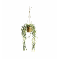 Willow With Earthenware Style Pot