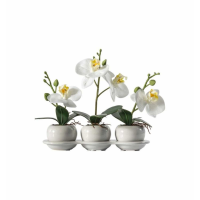 Trio With Ceramic Tray