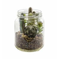 Garden In Glass Jar